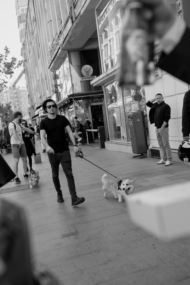 district one stories fotograf nunta bucuresti