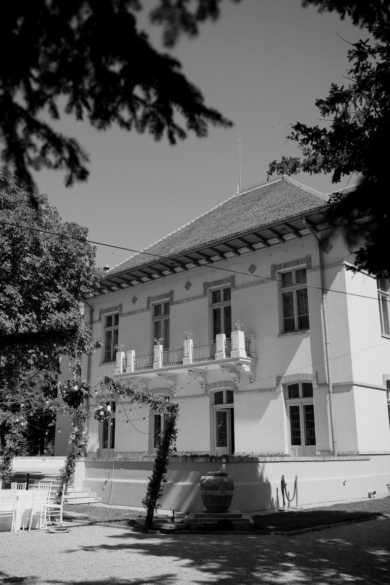 fotograf nunta domeniul manasia