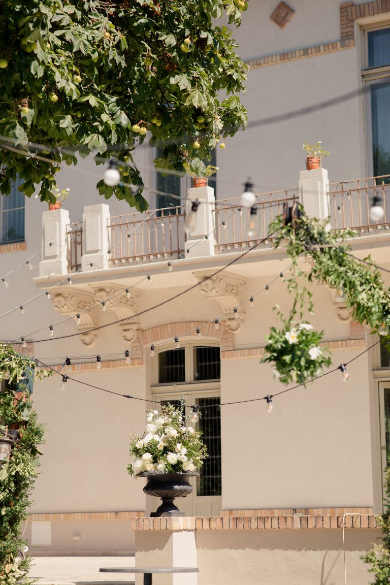 fotograf nunta domeniul manasia