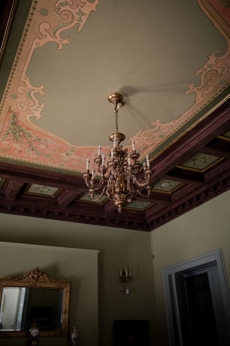 fotograf nunta domeniul manasia