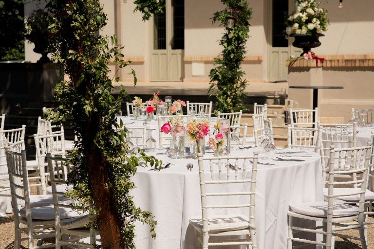 fotograf nunta domeniul manasia