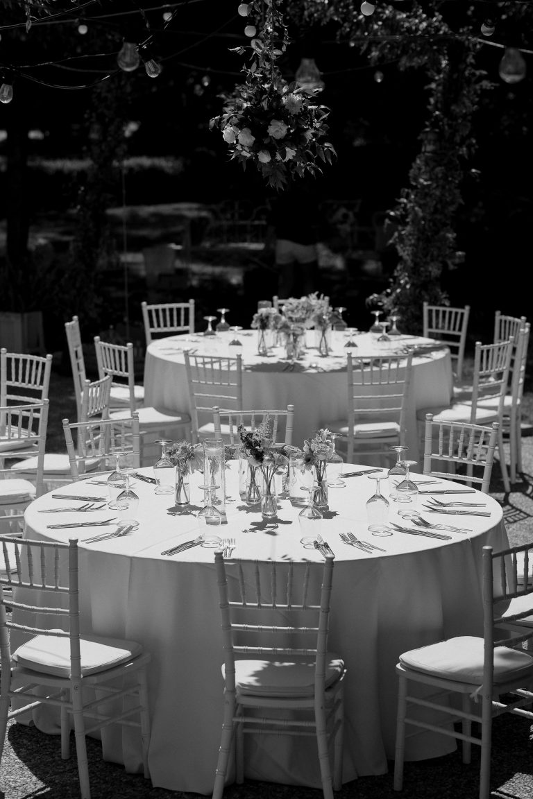 fotograf nunta domeniul manasia