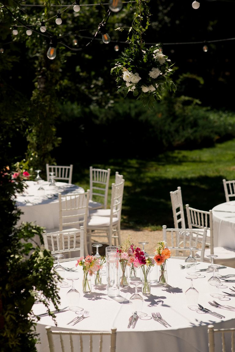 fotograf nunta domeniul manasia