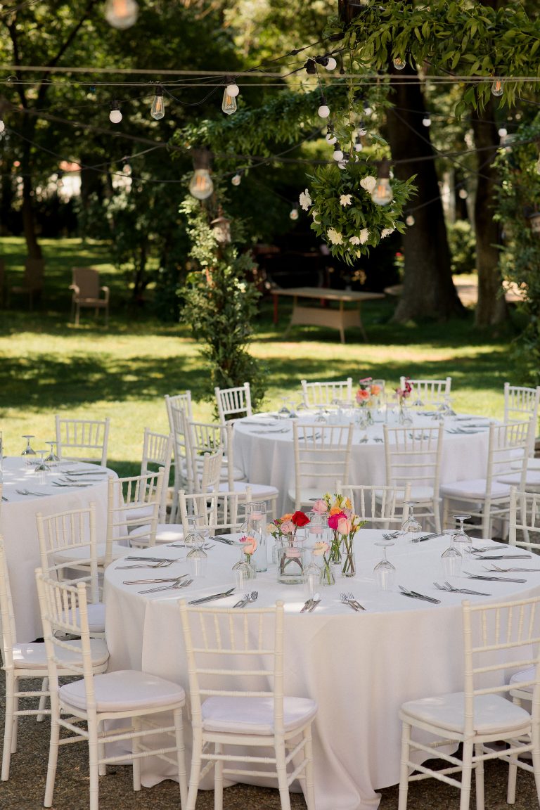 fotograf nunta domeniul manasia