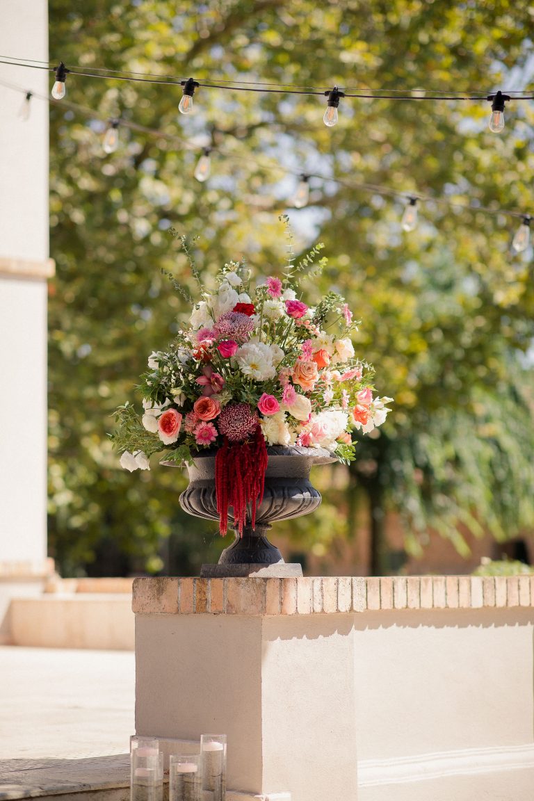 fotograf nunta domeniul manasia