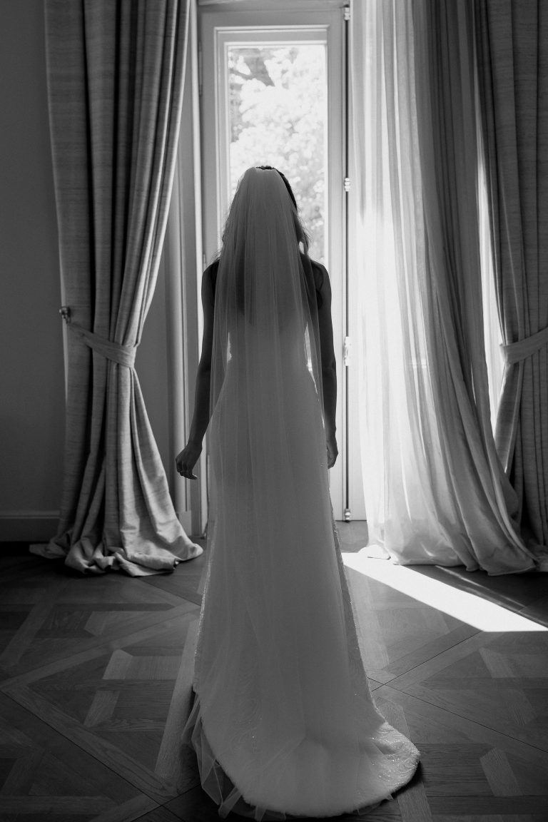 fotograf nunta domeniul manasia