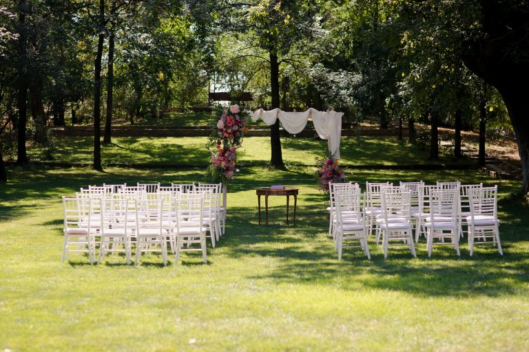 fotograf nunta domeniul manasia