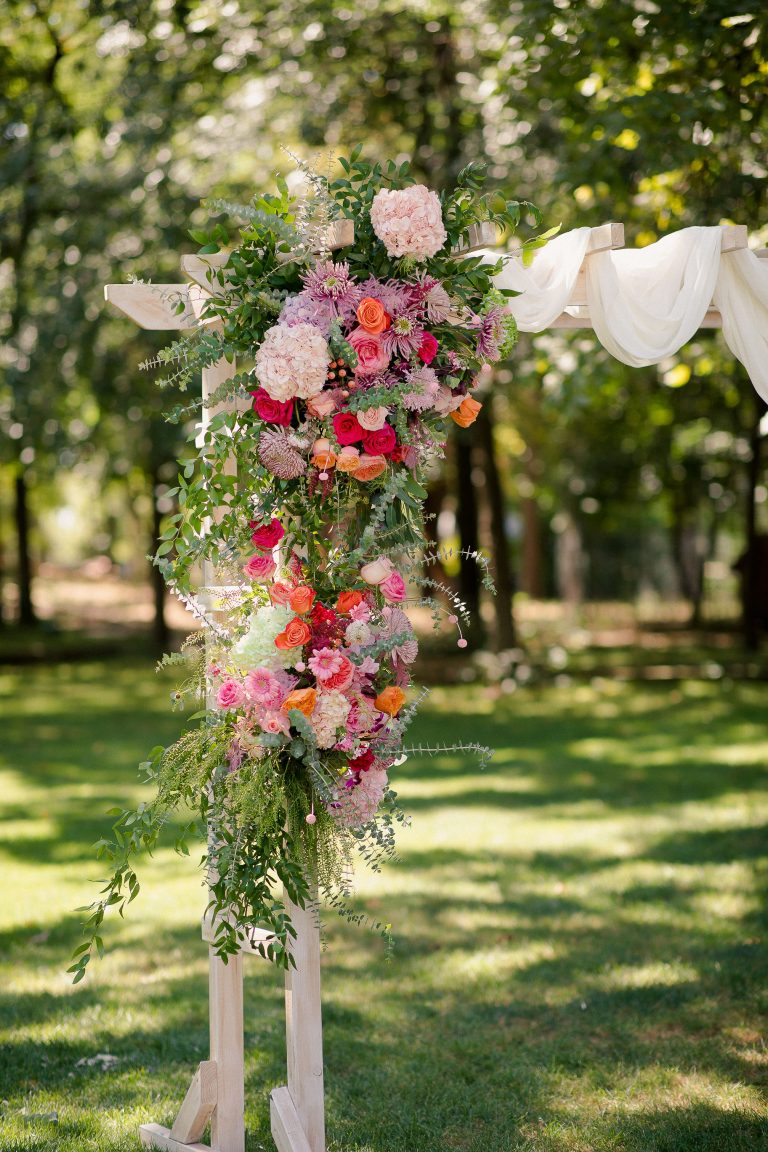 fotograf nunta domeniul manasia