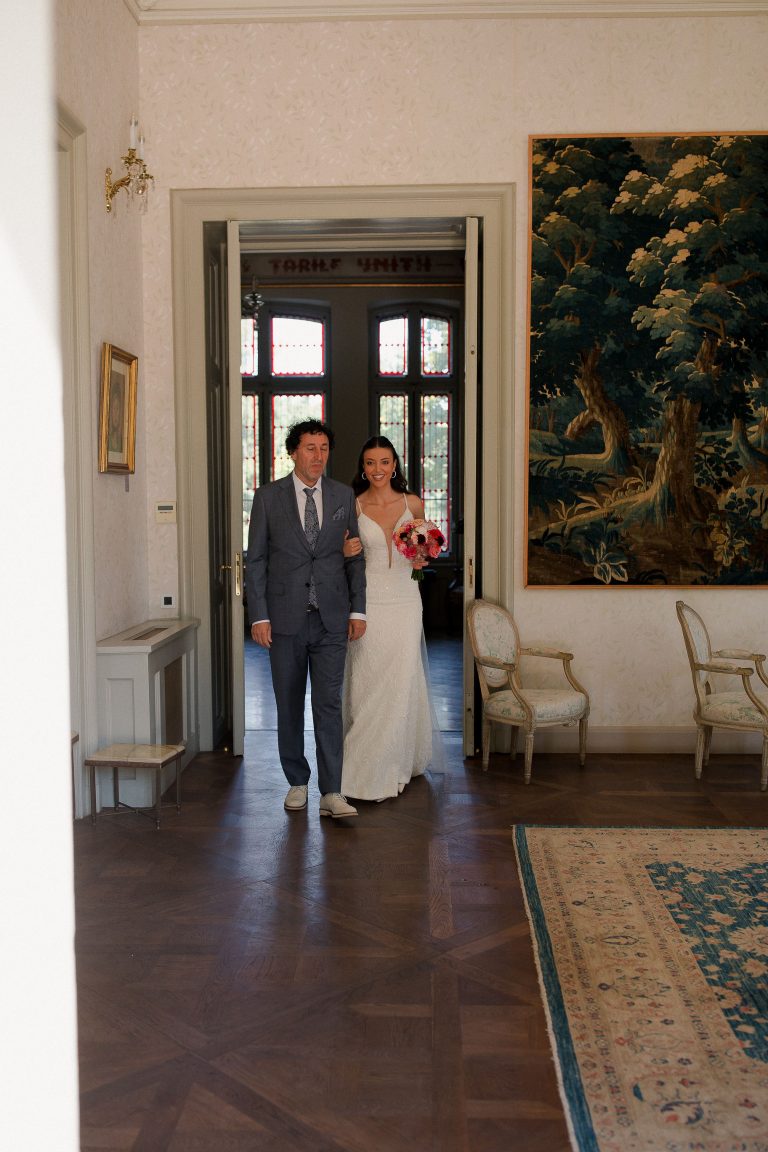 fotograf nunta domeniul manasia