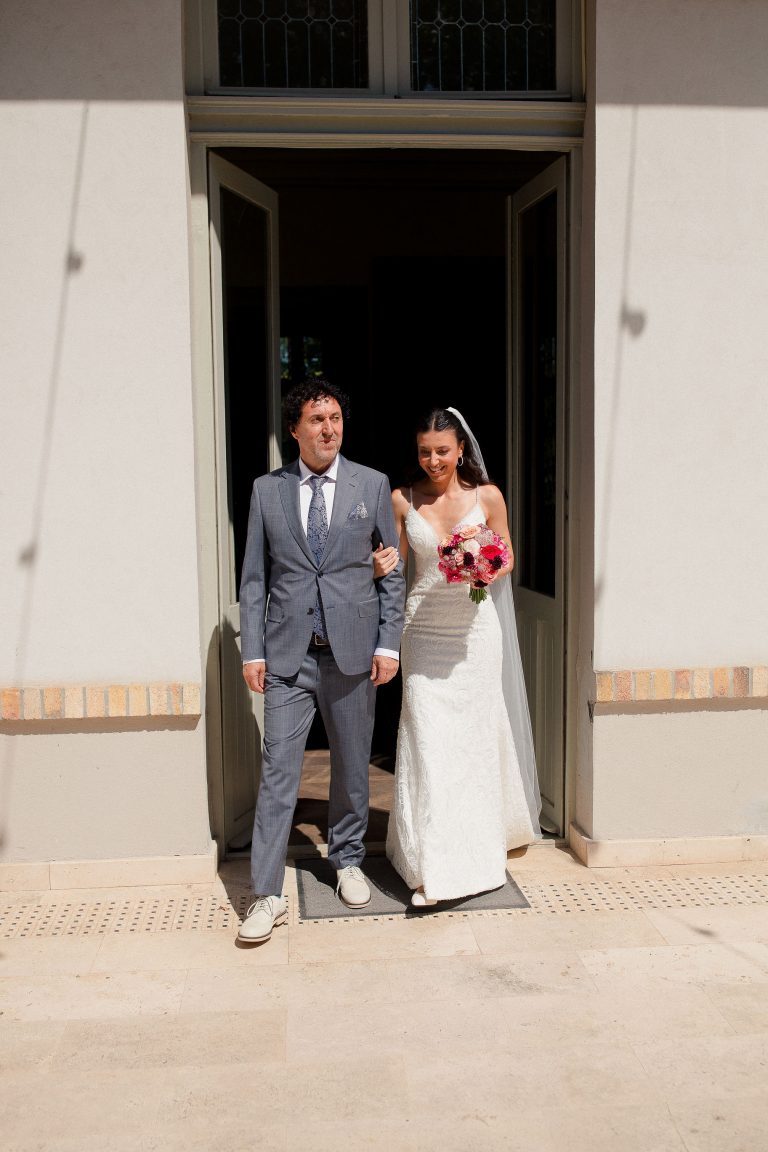 fotograf nunta domeniul manasia