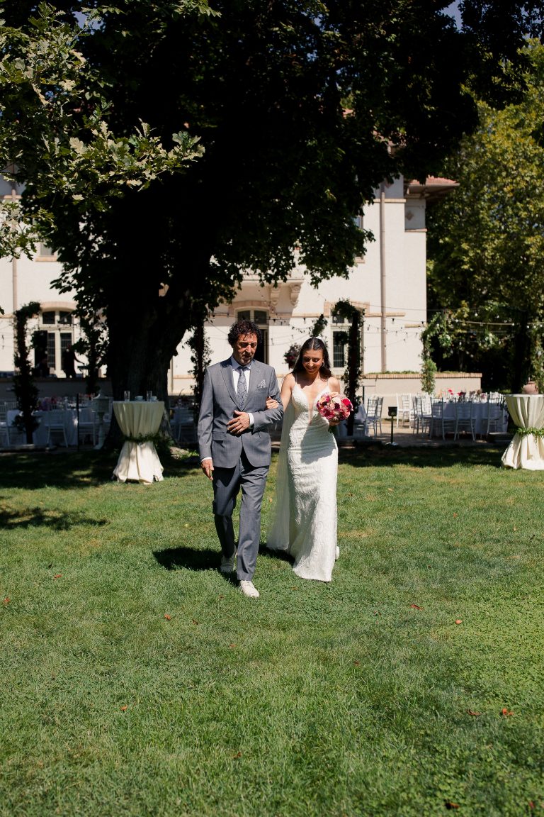 fotograf nunta domeniul manasia