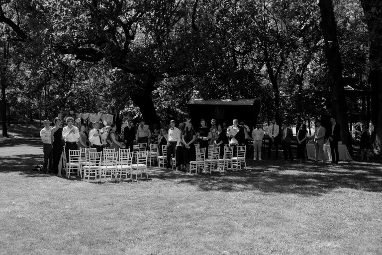 fotograf nunta domeniul manasia