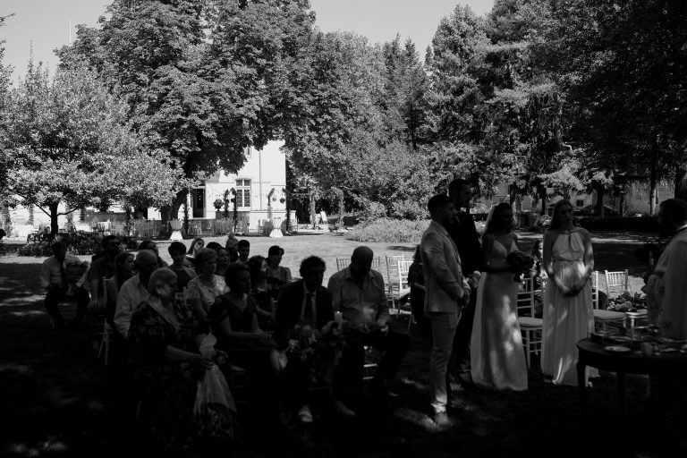 fotograf nunta domeniul manasia