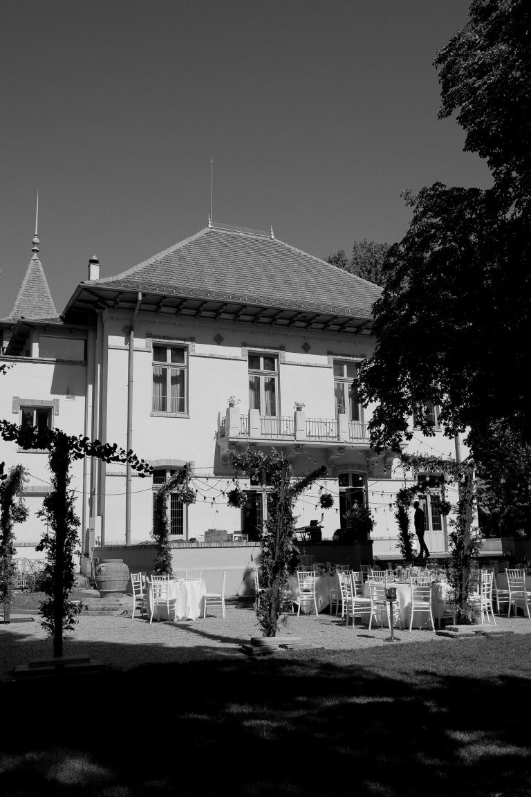 fotograf nunta domeniul manasia