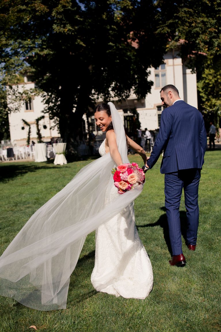 fotograf nunta domeniul manasia