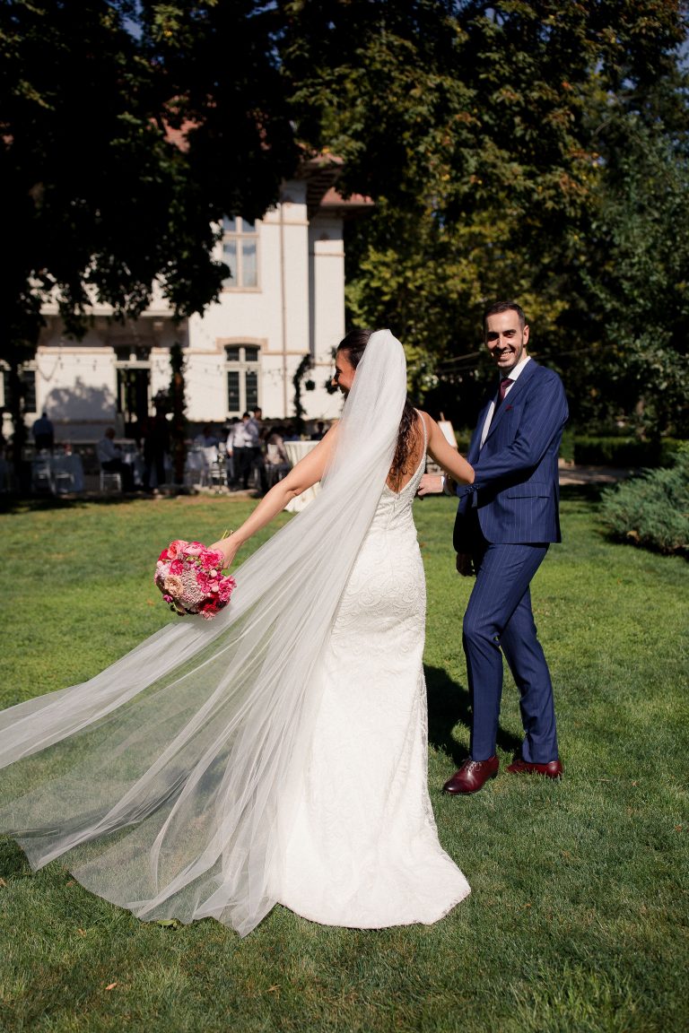 fotograf nunta domeniul manasia