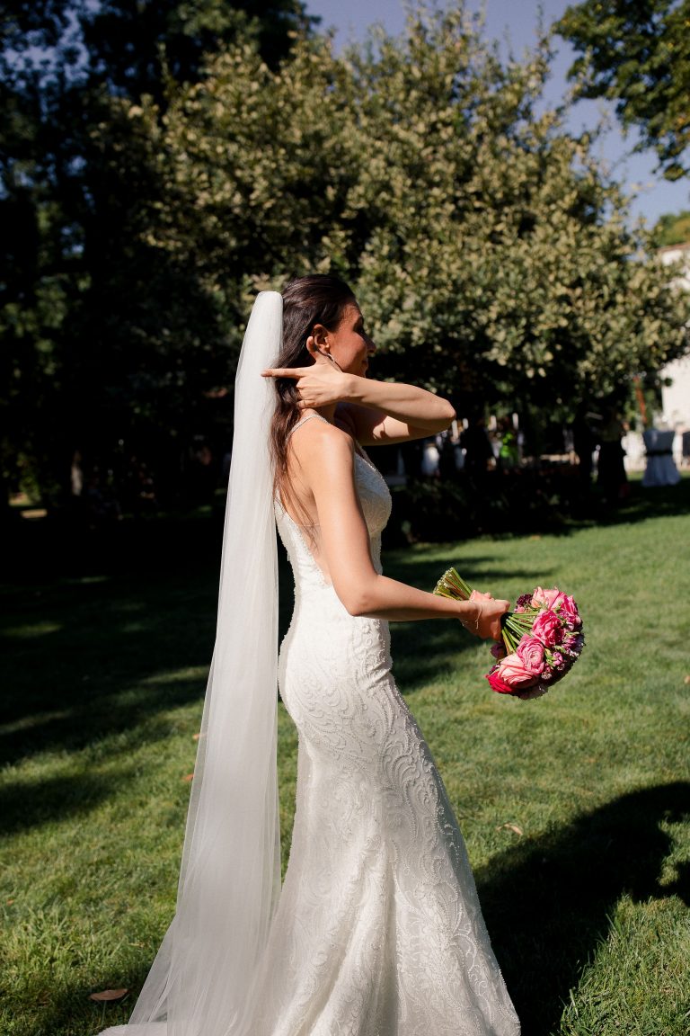 fotograf nunta domeniul manasia