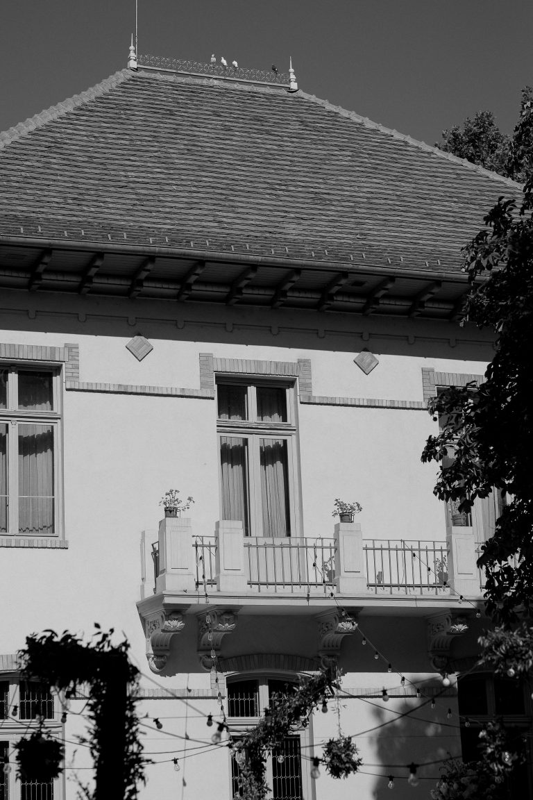 fotograf nunta domeniul manasia