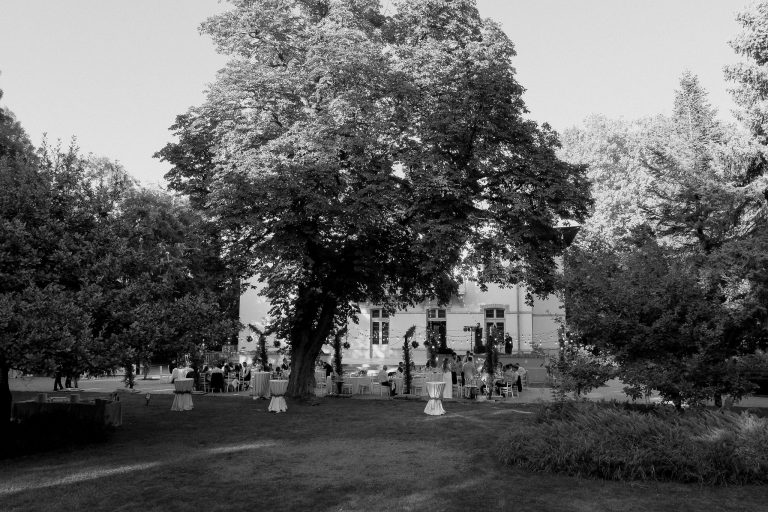 fotograf nunta domeniul manasia