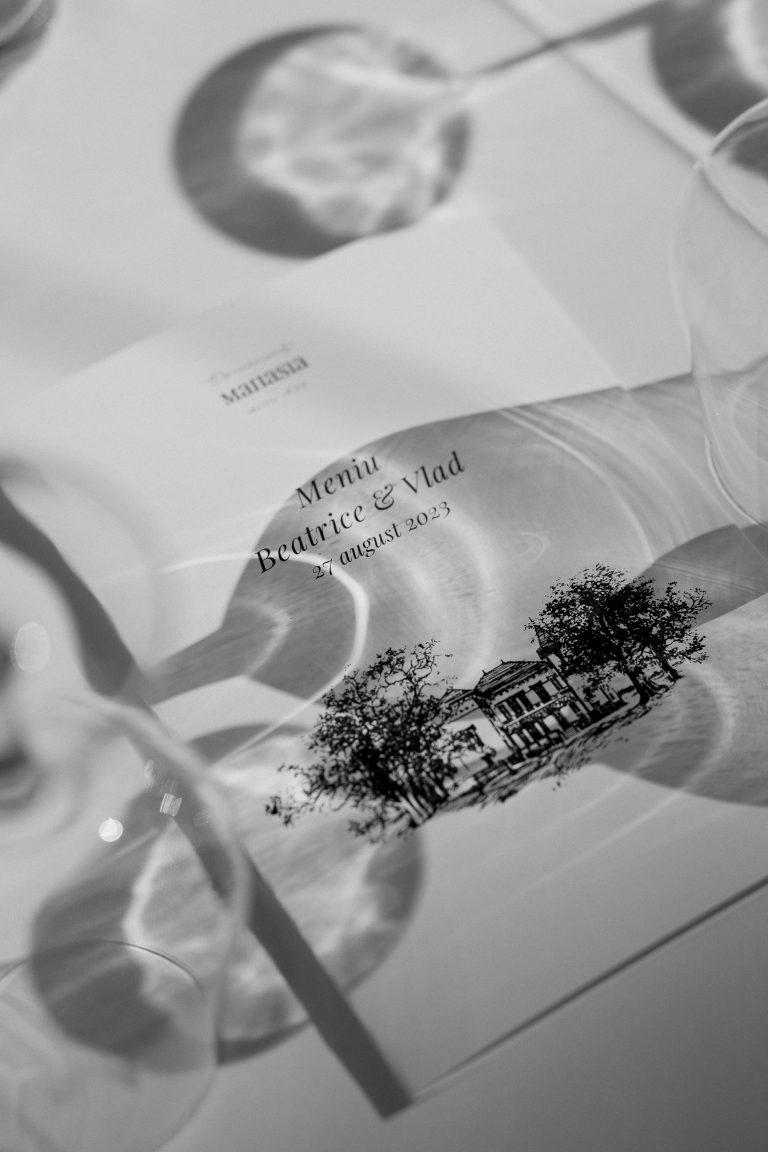 fotograf nunta domeniul manasia