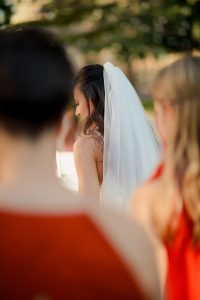 fotograf nunta domeniul manasia