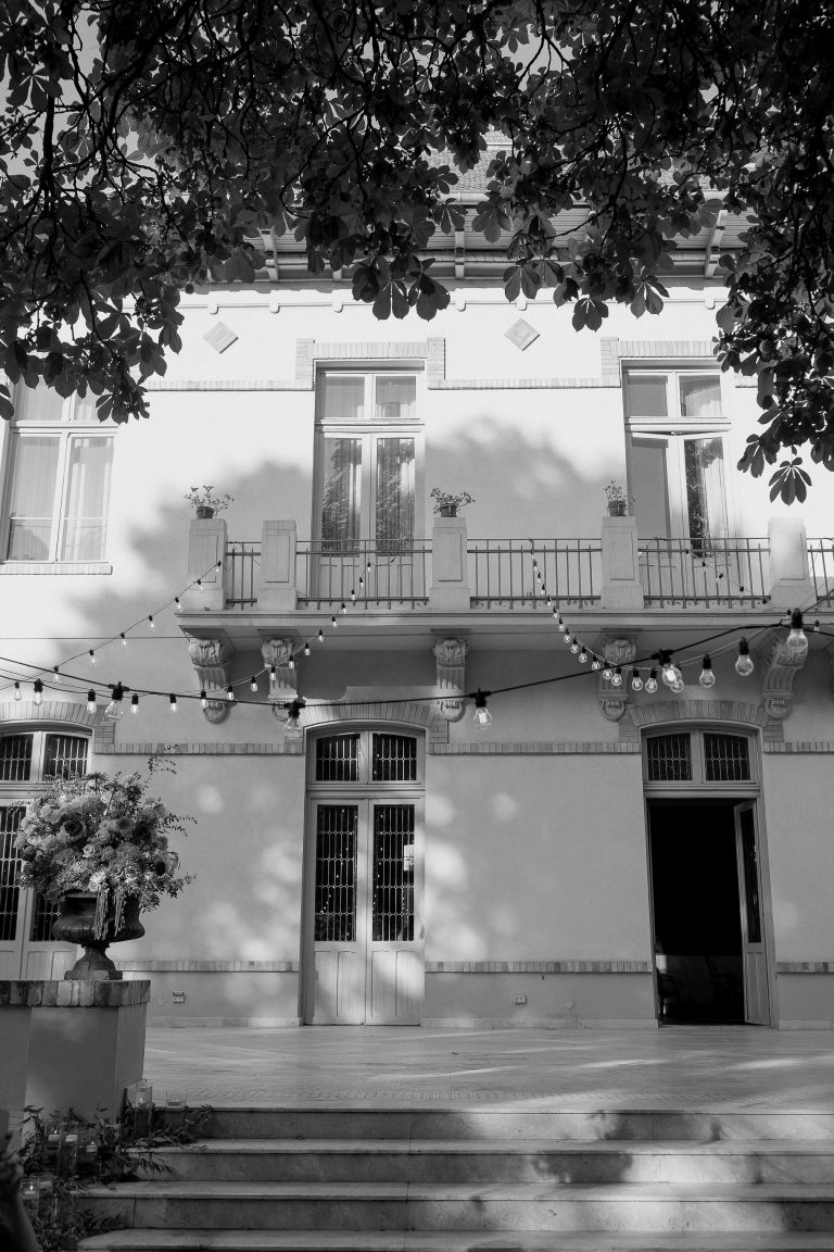 fotograf nunta domeniul manasia