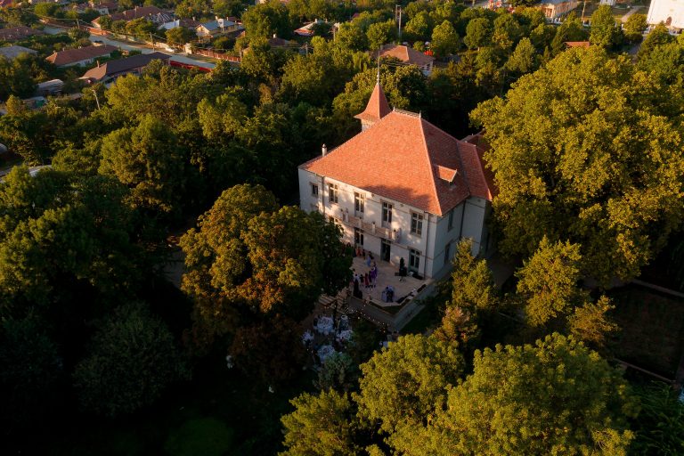 fotograf nunta domeniul manasia