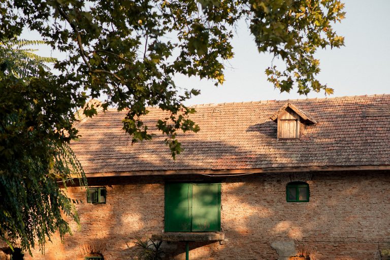 fotograf nunta domeniul manasia