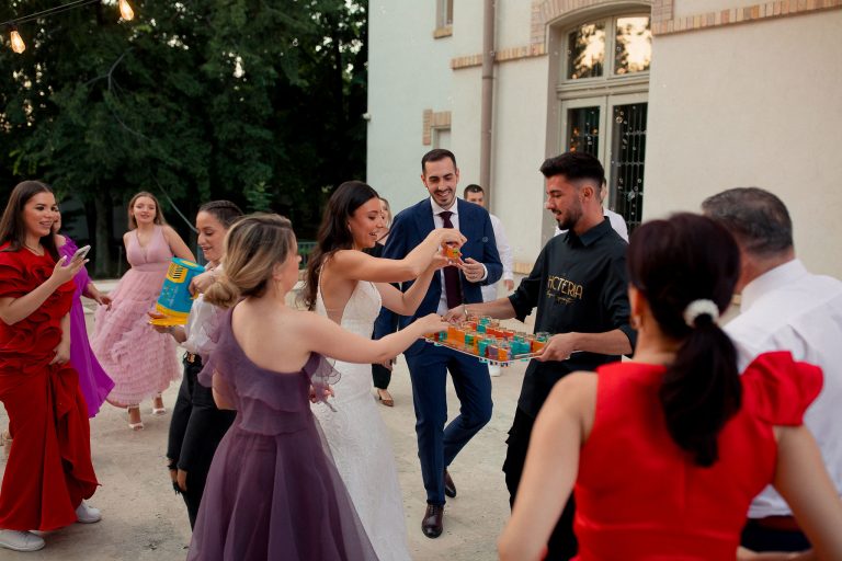 fotograf nunta domeniul manasia