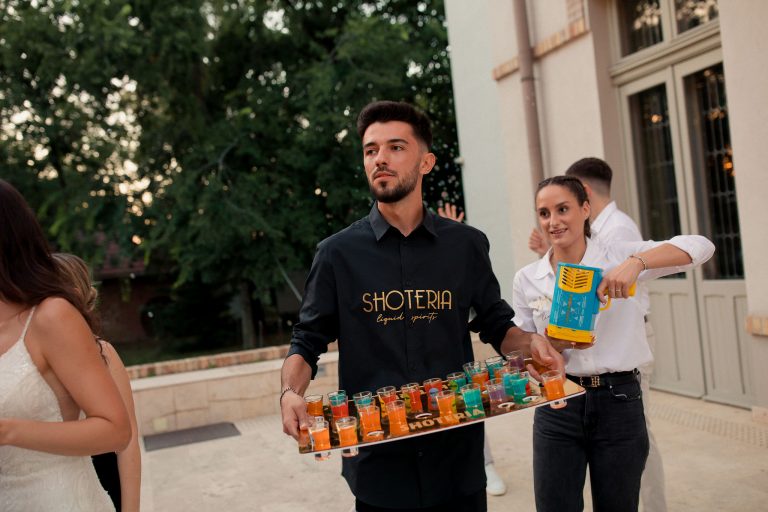 fotograf nunta domeniul manasia