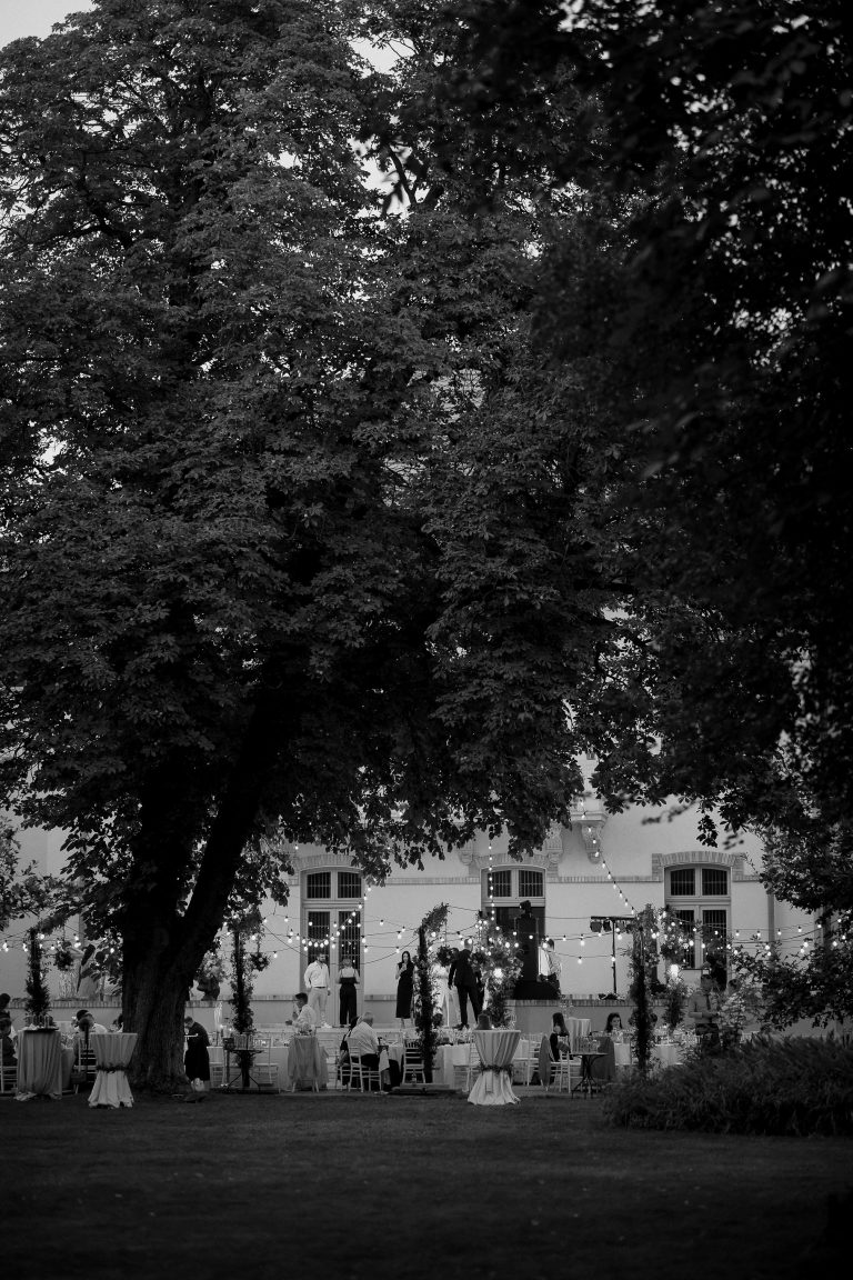 fotograf nunta domeniul manasia