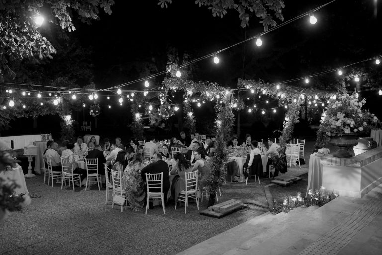 fotograf nunta domeniul manasia