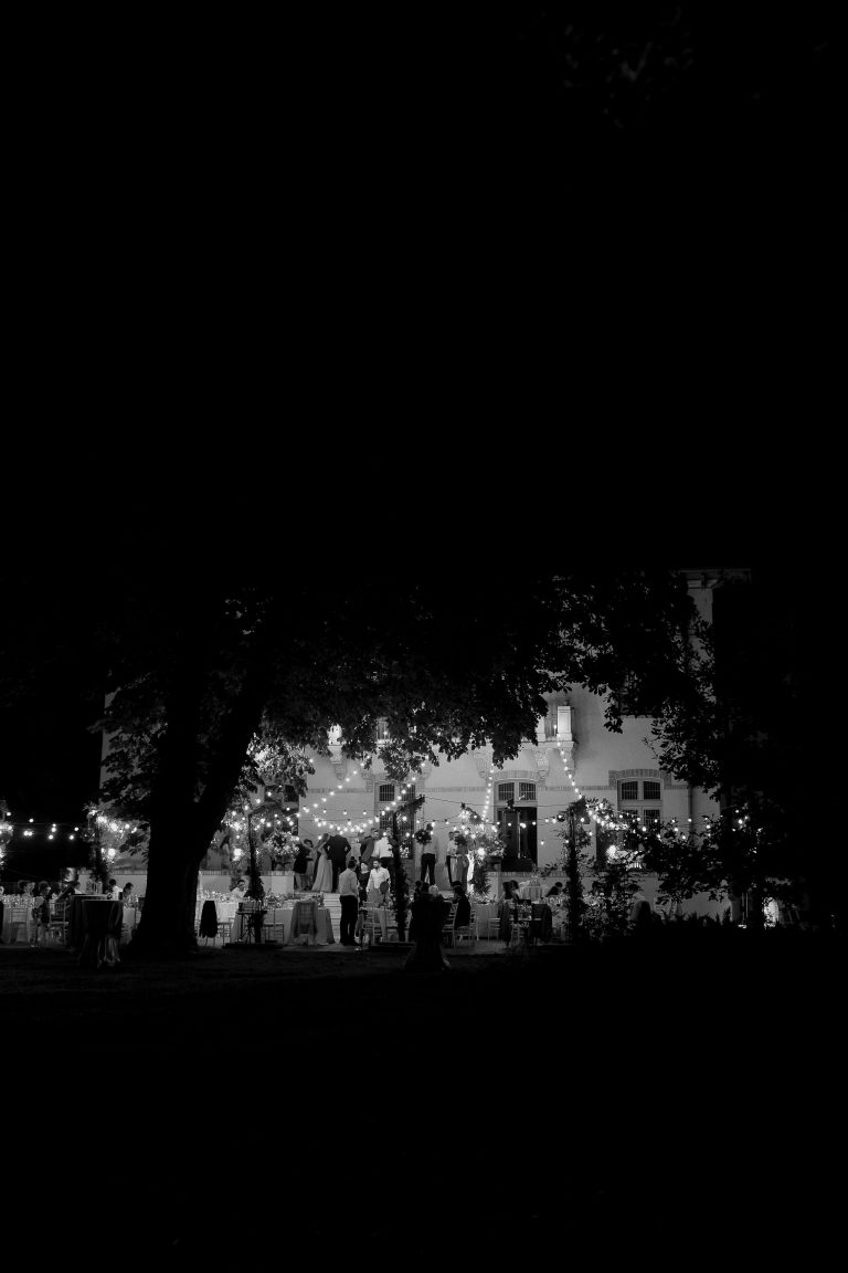 fotograf nunta domeniul manasia