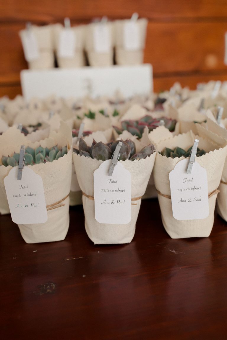 gradina cu licurici nunta