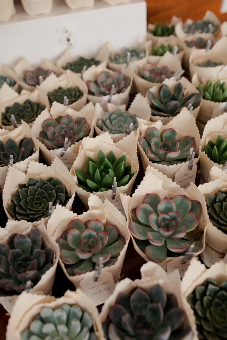 gradina cu licurici nunta