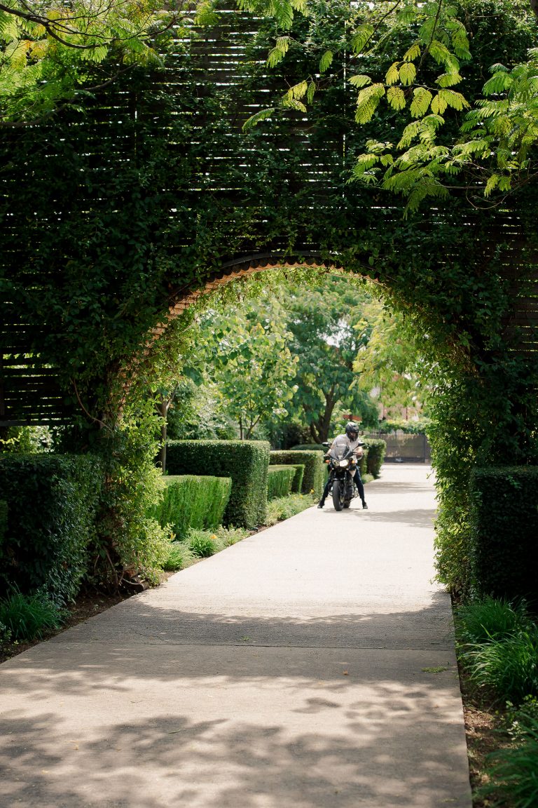 gradina cu licurici nunta
