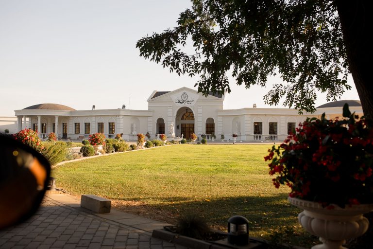 nunta domeniul cu ciresi