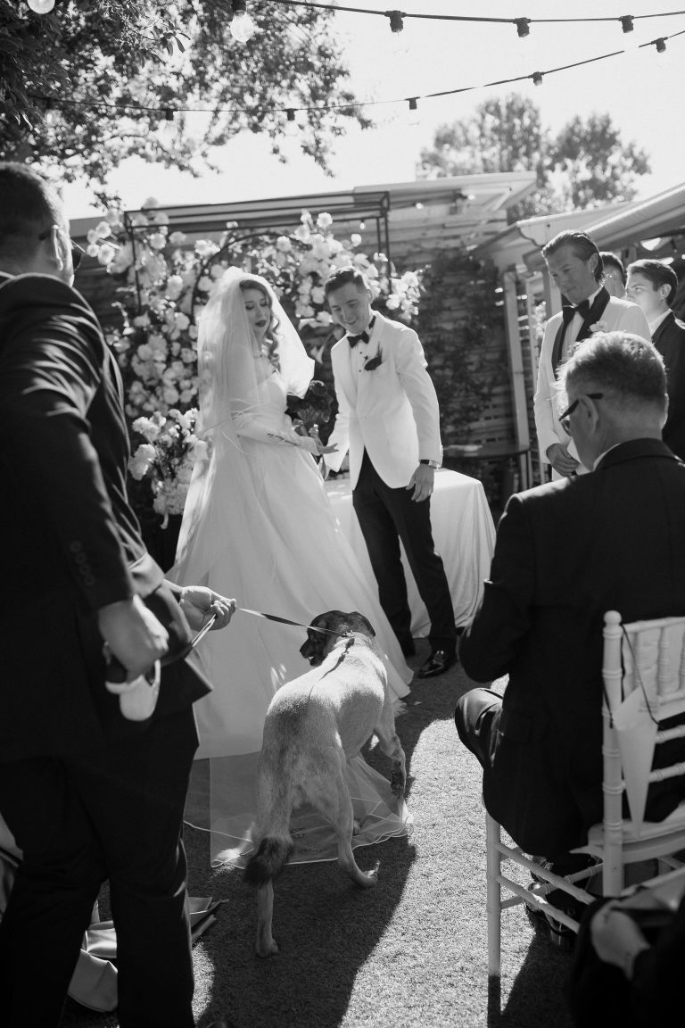 fotograf nunta bucuresti fratelli