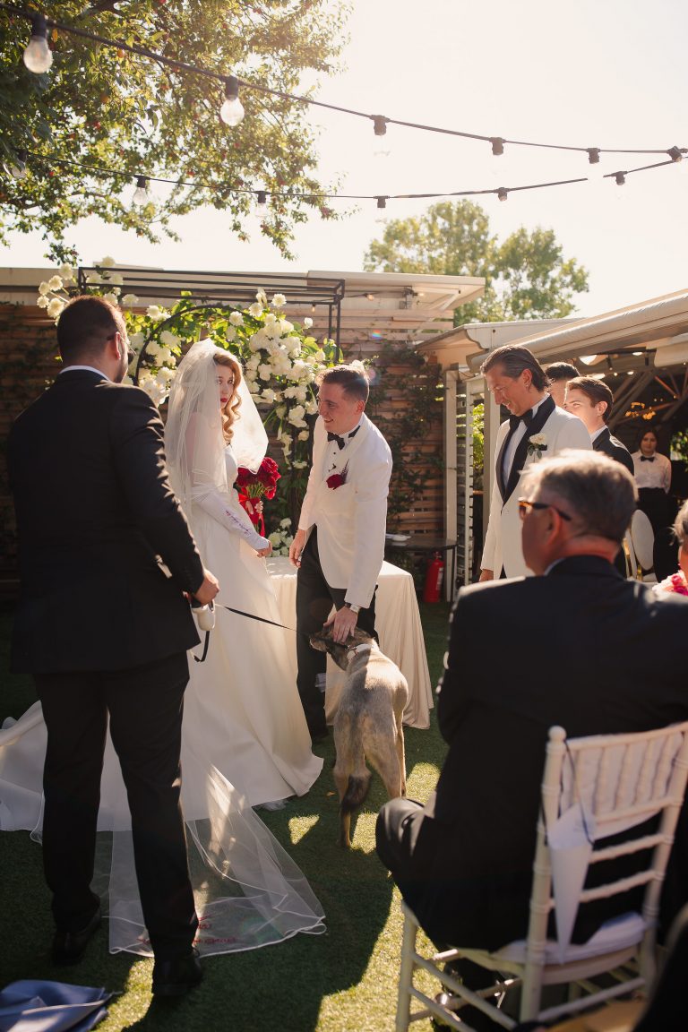 fotograf nunta bucuresti fratelli