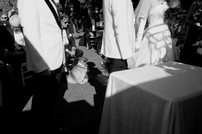 fotograf nunta bucuresti fratelli