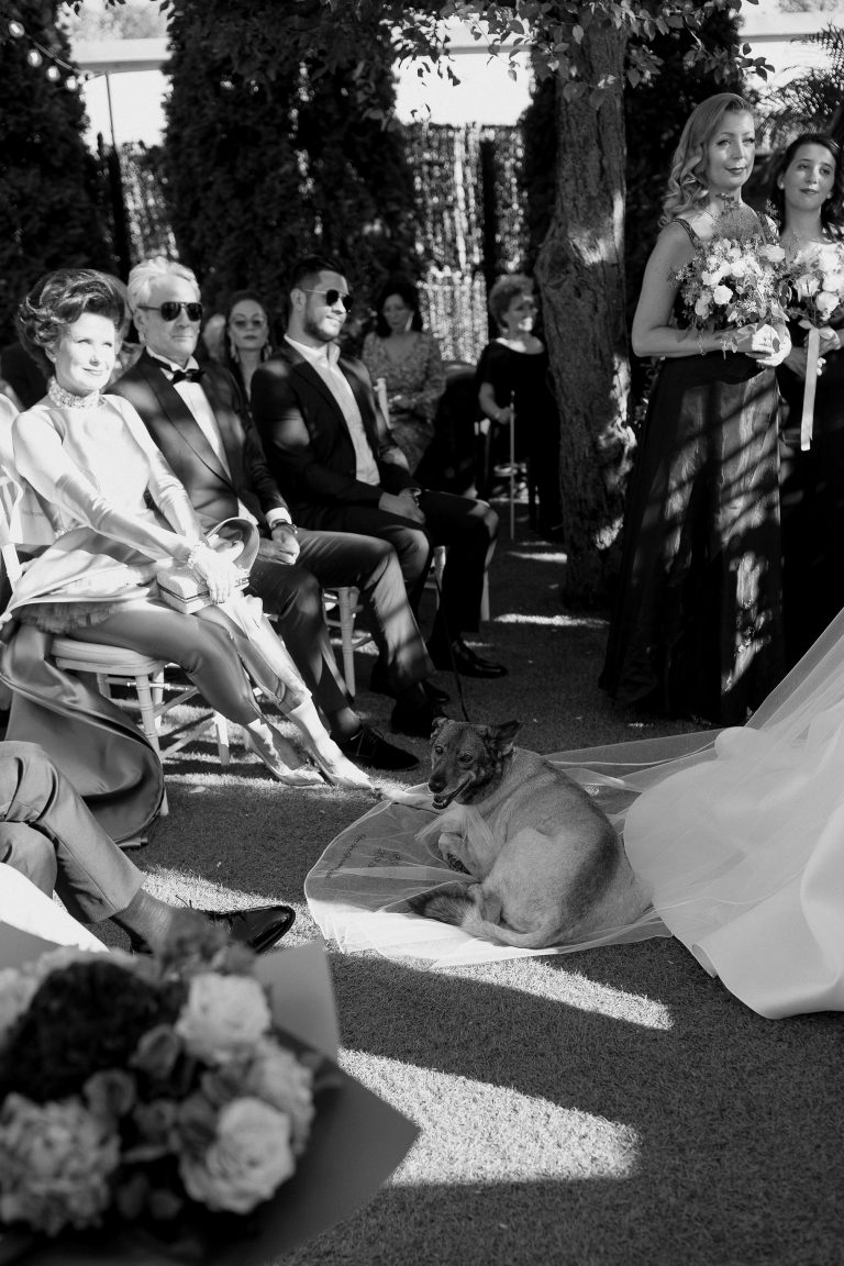 fotograf nunta bucuresti fratelli