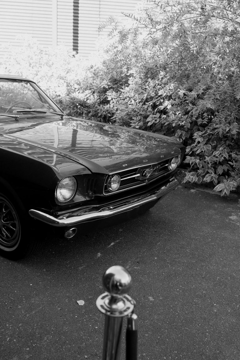 fotograf nunta bucuresti fratelli