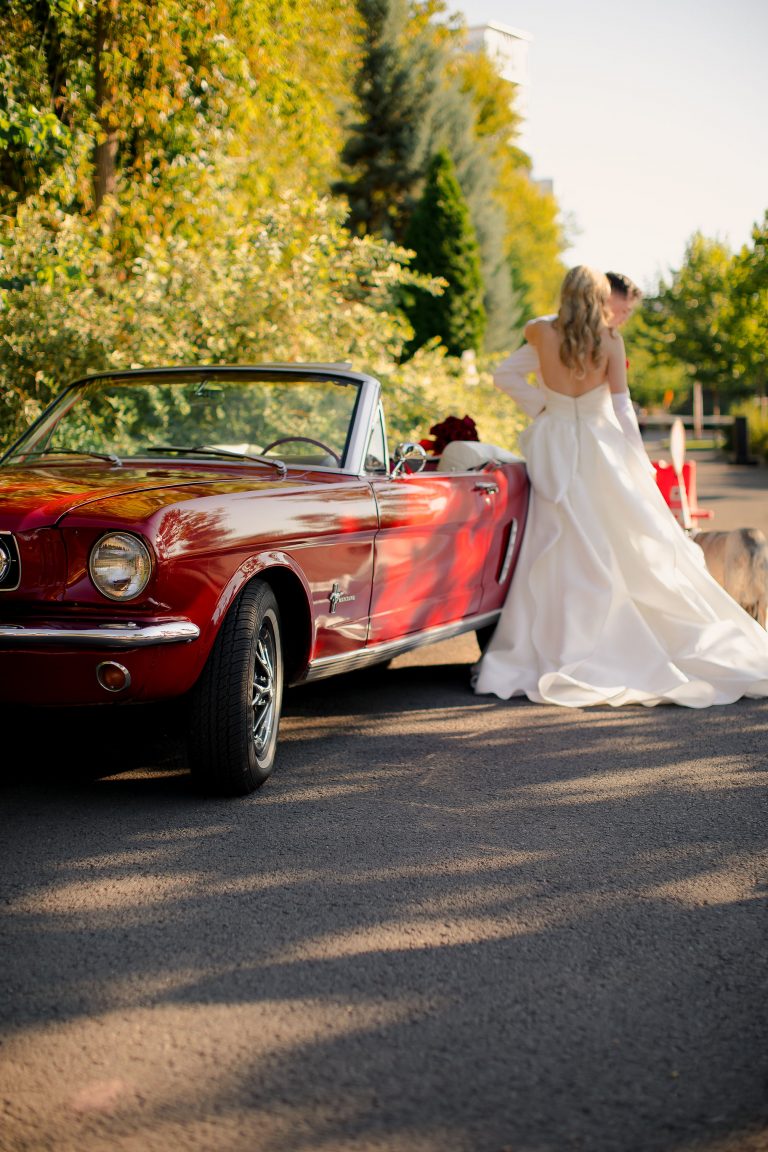 fotograf nunta bucuresti fratelli