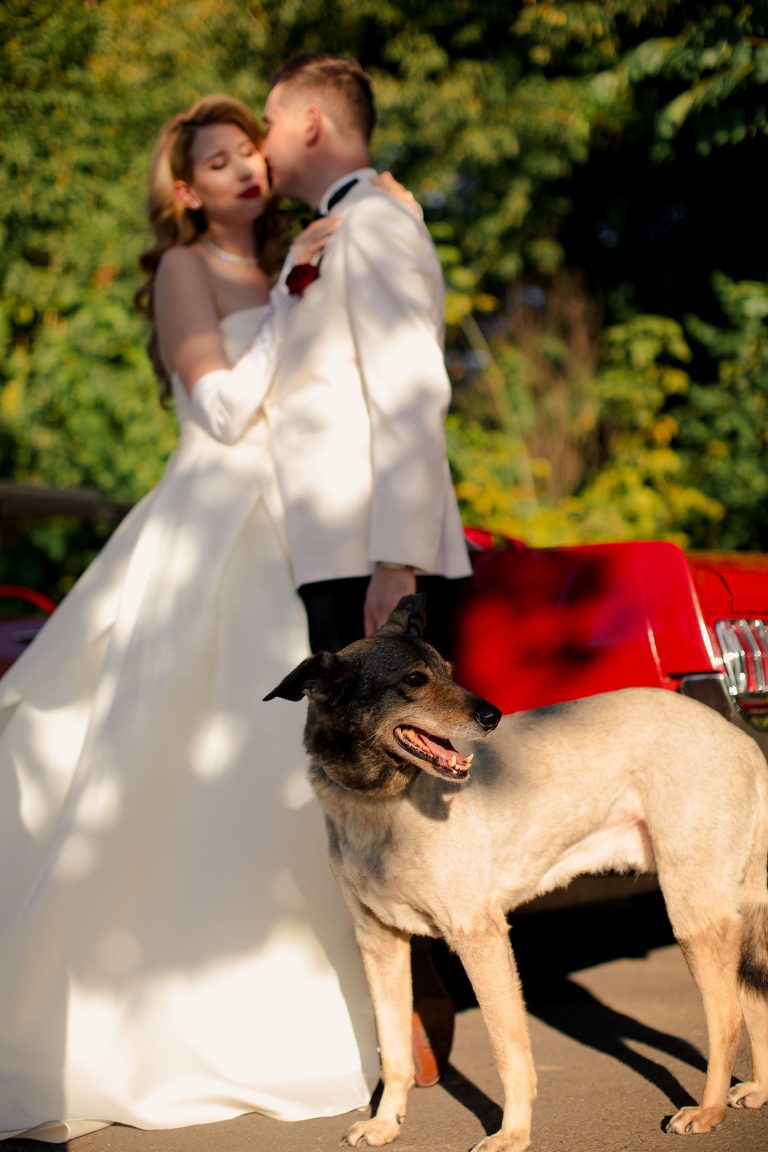 fotograf nunta bucuresti fratelli