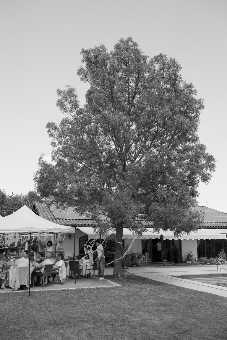 district one stories fotograf nunta bucuresti