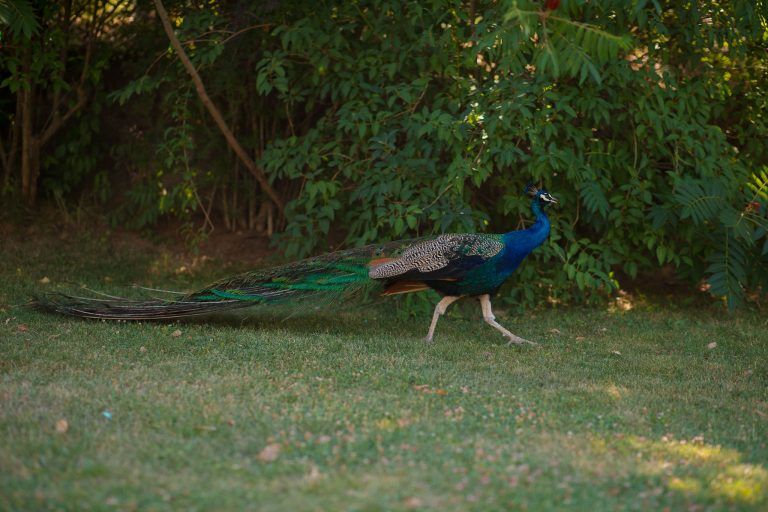 district one stories fotograf nunta bucuresti