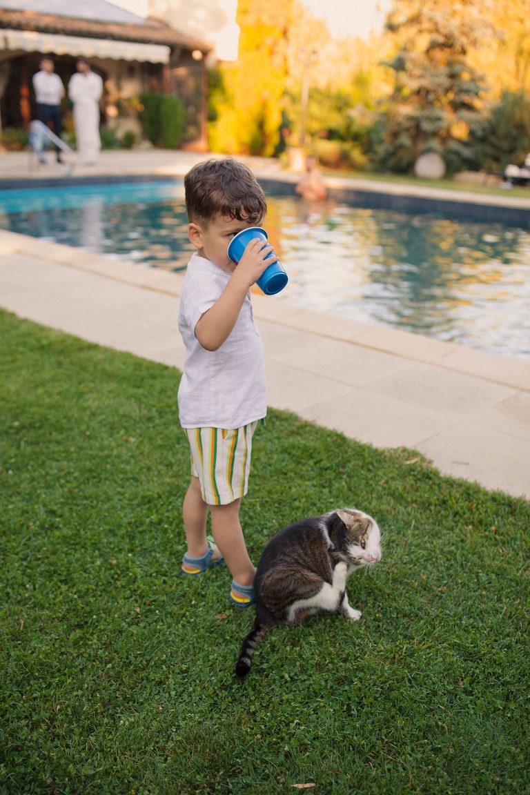 district one stories nunta bucuresti