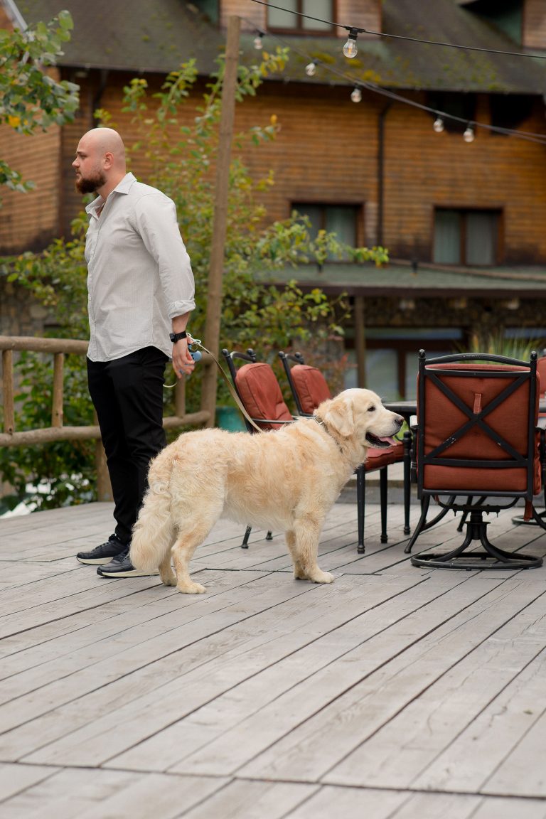 fotograf nunta hadar chalet inima padurii