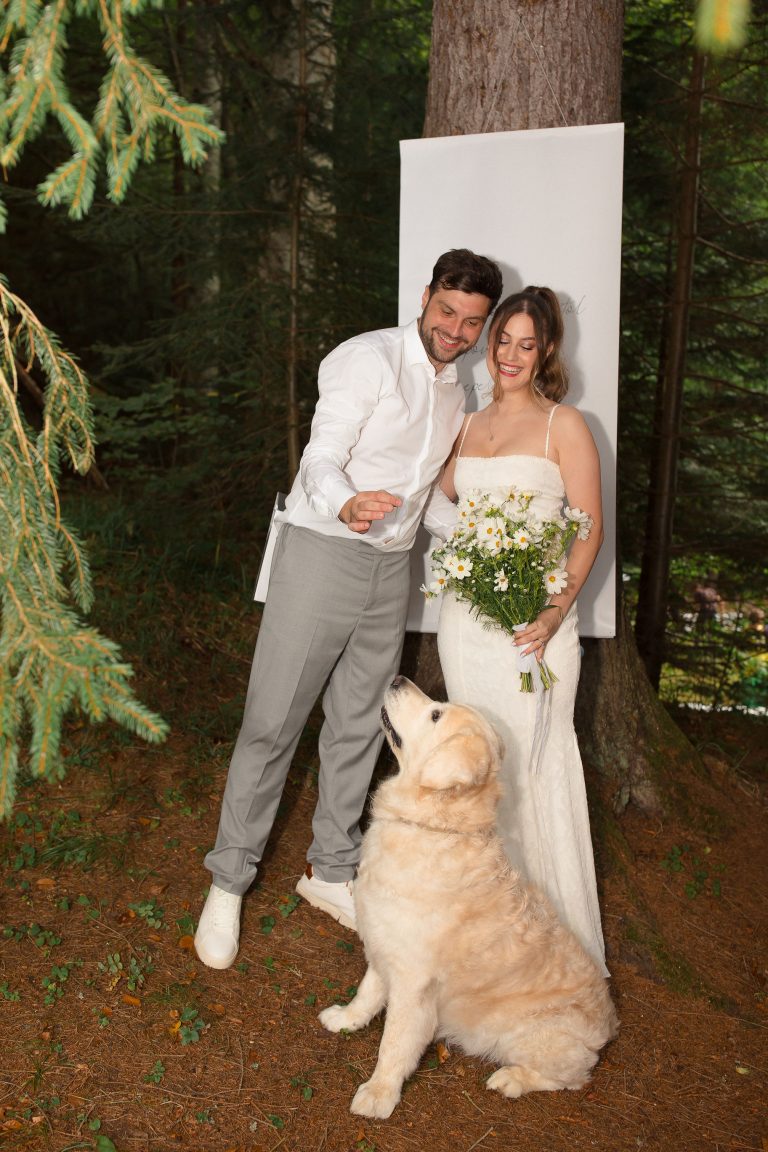 fotograf nunta hadar chalet inima padurii