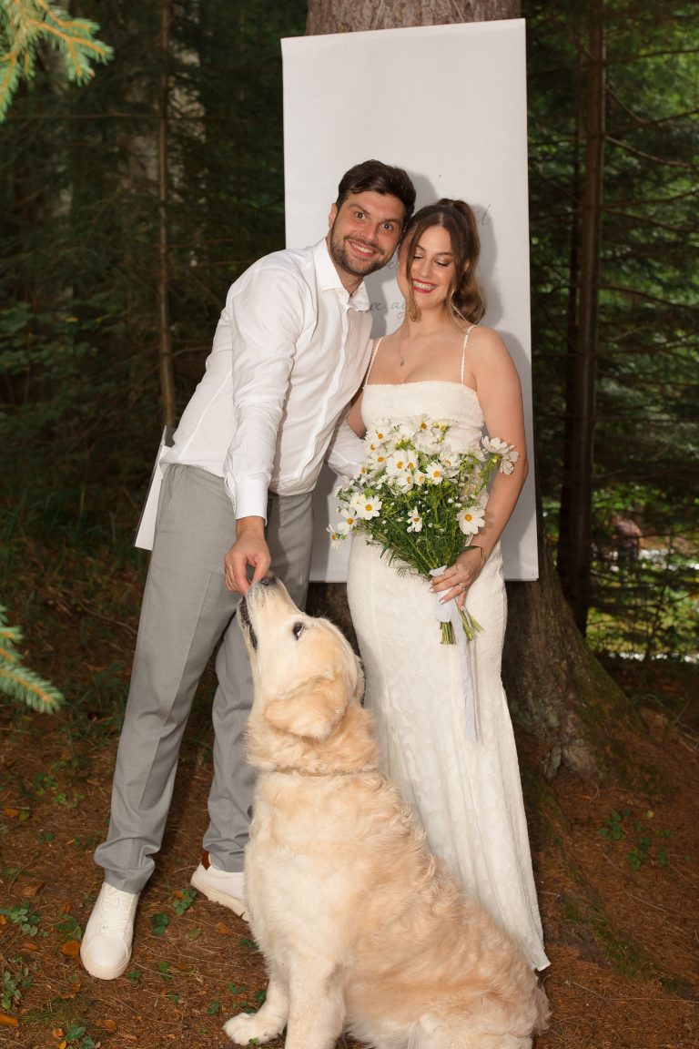 fotograf nunta hadar chalet inima padurii